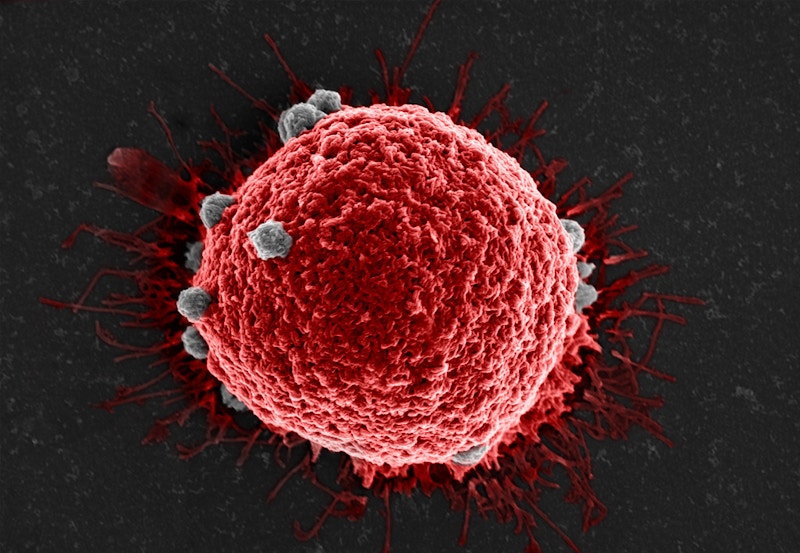 A new weapon for the war on cancer: a broad-spectrum circulating tumor
