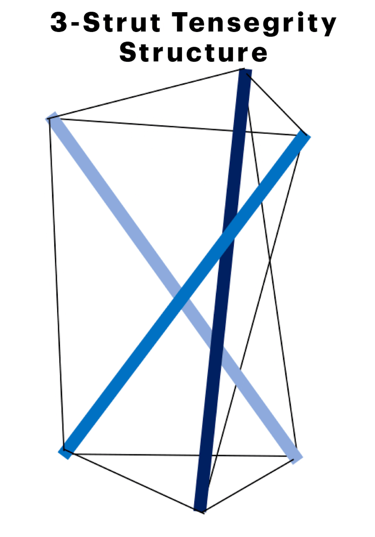 The “architecture of life” described by computer modeling