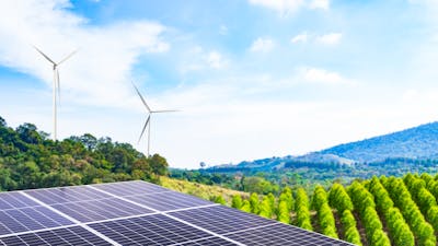 Solar Panel Energy Photovoltaic Roof with blur Plant Growth Tree and Wind Mill Renewable Generator Power Plant Farm,Zero Carbon System Future,Sustainable Alternative Battery Solution Ecology Station.