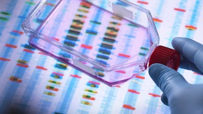 Genetic Engineering, Scientist viewing cells in a culture jar with a DNA profiles on a screen in the background illustrating gene editing