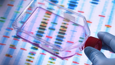 Genetic Engineering, Scientist viewing cells in a culture jar with a DNA profiles on a screen in the background illustrating gene editing