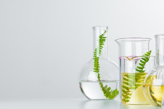 Plants in laboratory glassware on white background. Skincare products and drugs chemical researches concept