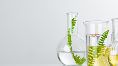 Plants in laboratory glassware on white background. Skincare products and drugs chemical researches concept