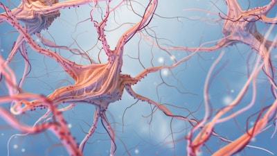 Neurons and nervous system. 3d render of nerve cells. 3D illustration