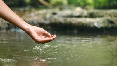 hand is reaching into a body of water, possibly river or pond. The water is calm and clear